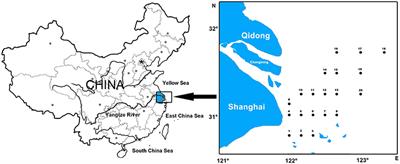 Seasonal Fish Assemblage Structure Using Environmental DNA in the Yangtze Estuary and Its Adjacent Waters